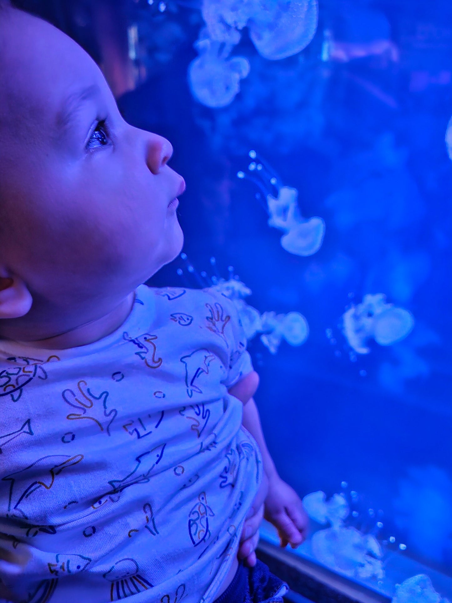 Adorable Baby Tees: 6-months, 12-months, 18-months, and 24-months